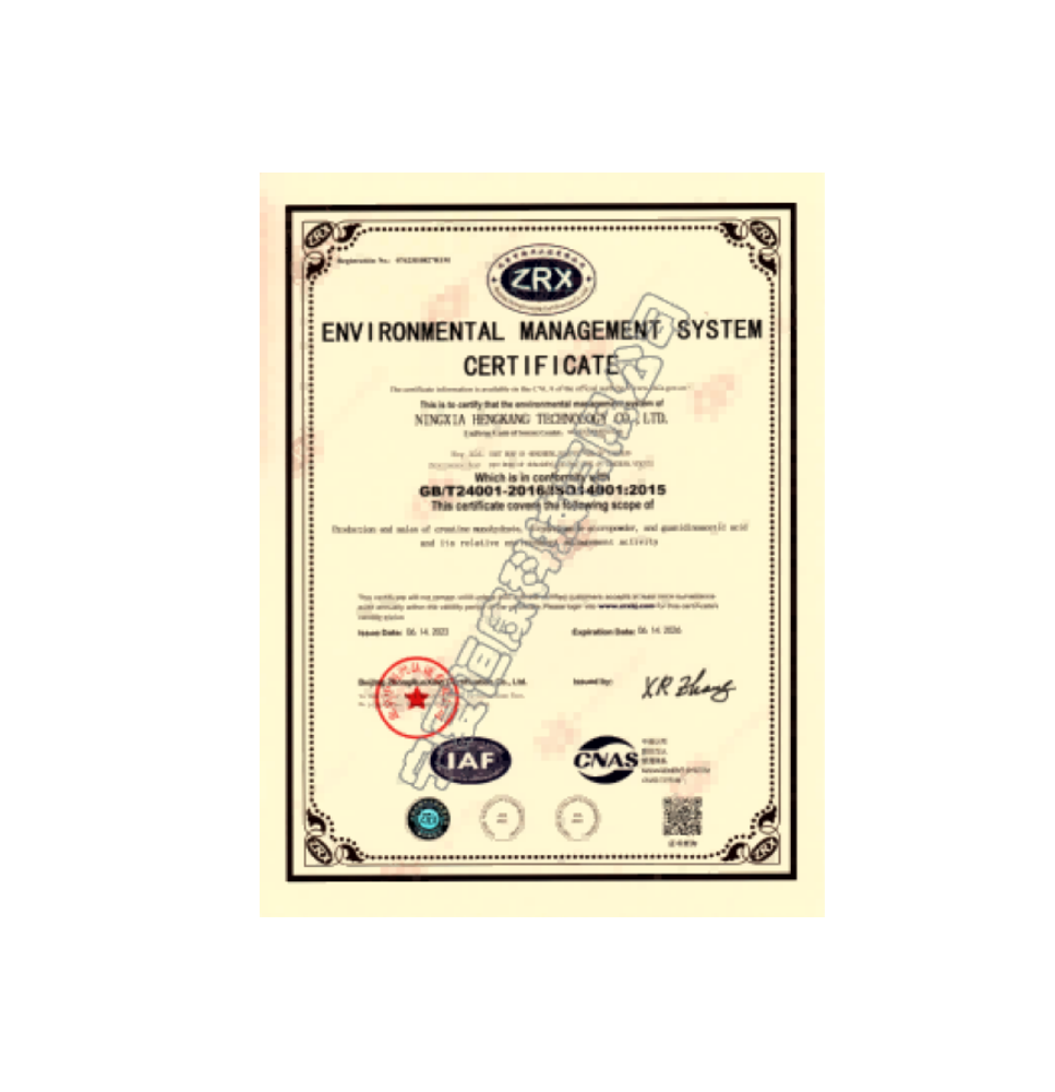 环境管理体系认证证书（英文）